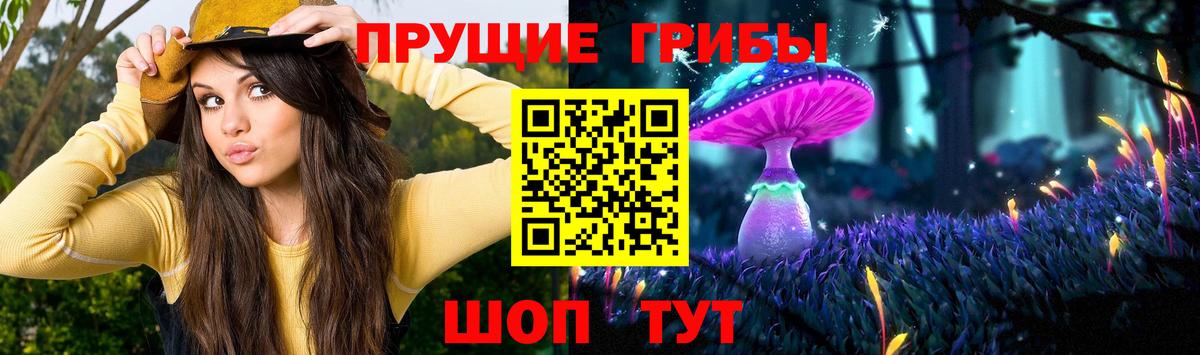 Волгоград  Галлюциногенные грибы мицелий  Вход с VPN  Галлюциногенные грибы Cubensis 