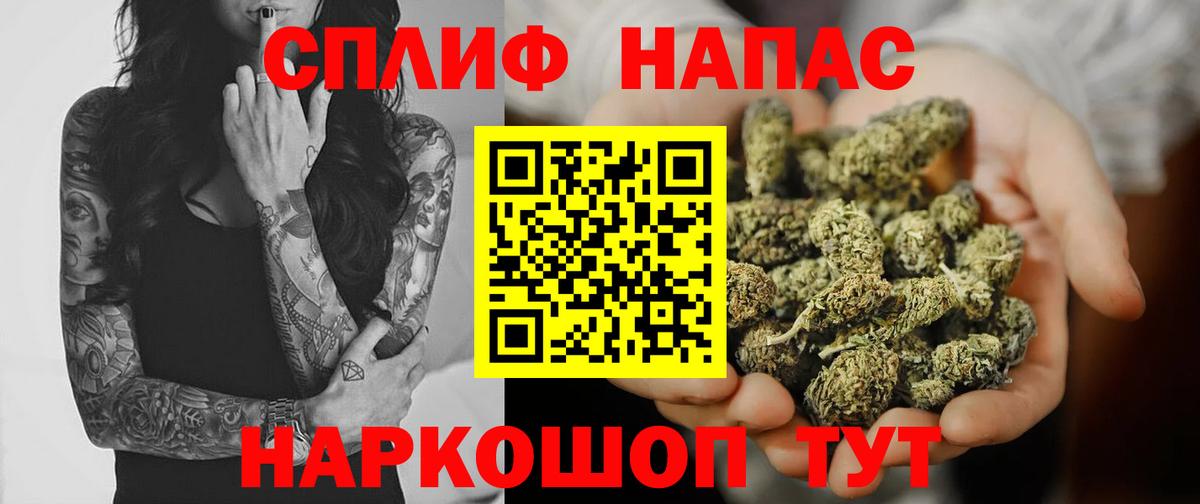Марихуана конопля Волгоград